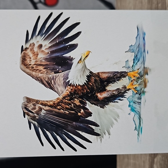 4x6 Soaring Bald Eagle‎ Ocean Watercolor Oil Painting Art Print - Picture 1 of 8